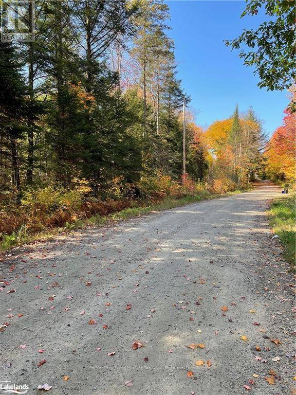 Bracebridge (oakley), ON P1L1X1,0 CHRYSLER ROAD