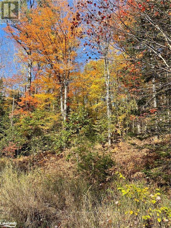 Bracebridge (oakley), ON P1L1X1,0 CHRYSLER ROAD