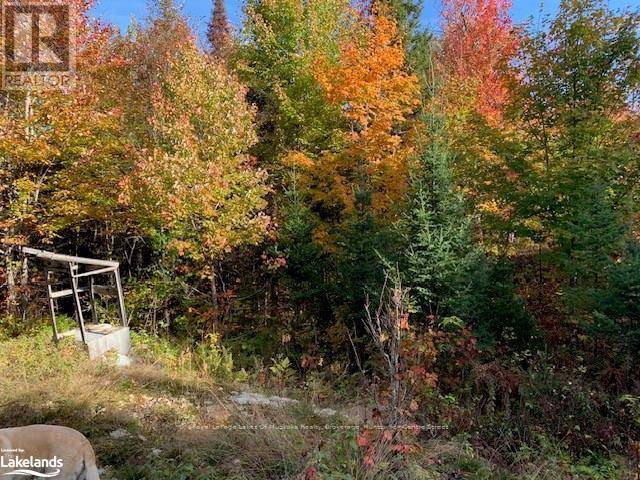 Magnetawan, ON P0A1P0,0 SUGAR BUSH ROAD E