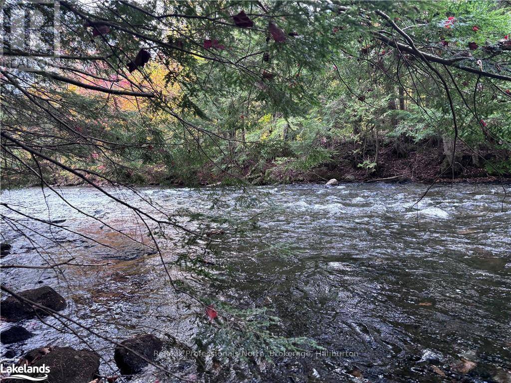Algonquin Highlands (sherborne), ON K0M1J2,LOT 13 N/A