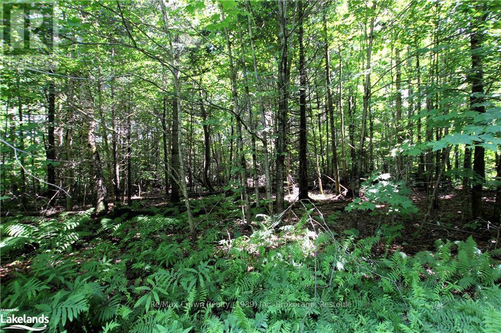 Parry Sound Remote Area (mcconkey), ON P0H1Y0,0A 20TH SIDE RD