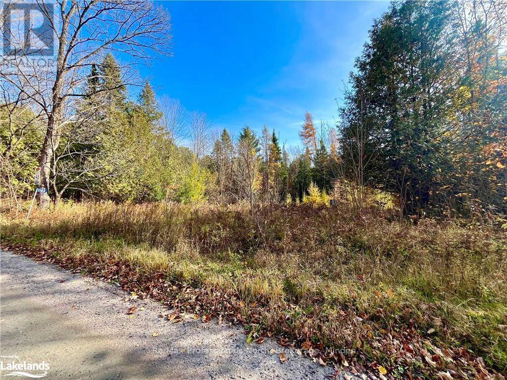 Minden Hills, ON K0M2K0,1164 RAVINE ROAD