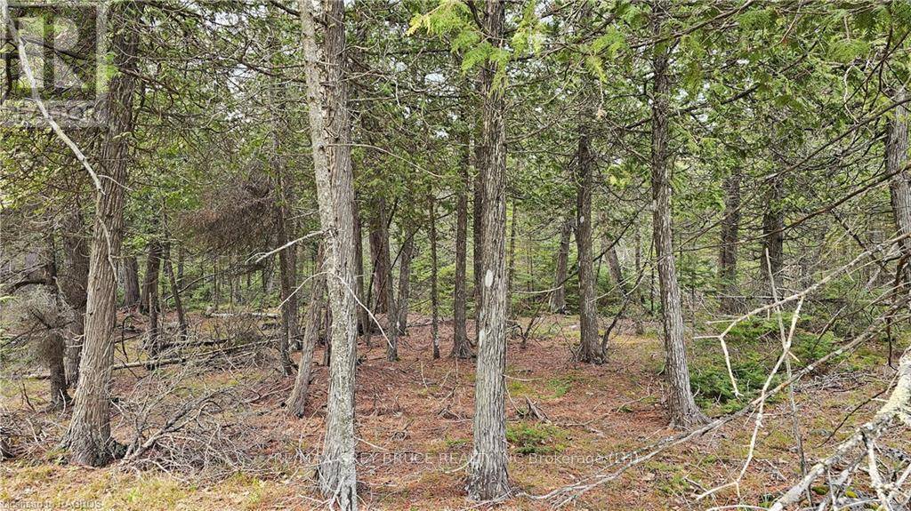 Northern Bruce Peninsula, ON N0H2R0,LT 255 PL 433 PEDWELL PT DRIVE