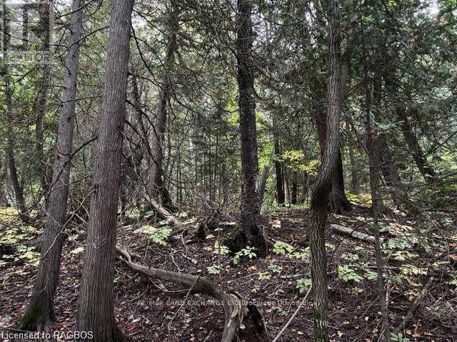 Saugeen Shores, ON N0H2L0,5 SHORE ROAD