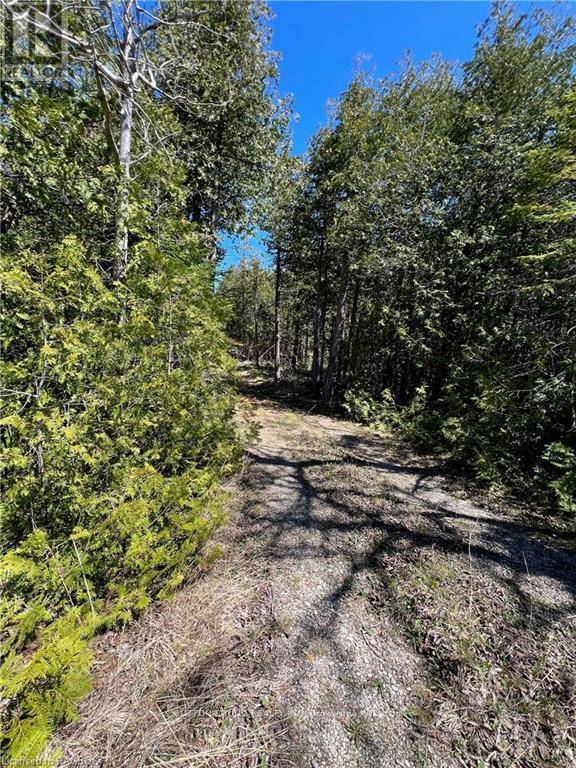 South Bruce Peninsula, ON N0H2T0,LOT 32 HIGHWAY 6