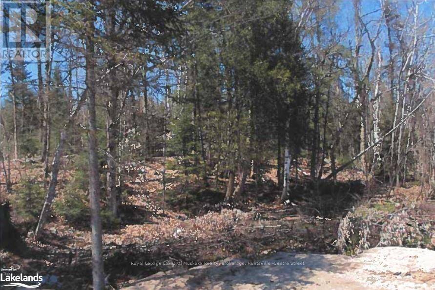 Strong, ON P0A1Z0,151 HIGH ROCK DRIVE
