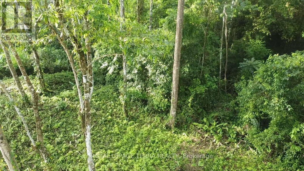 Costa Rica, ON,LOT8-65 CINCO VENTANAS ROAD E