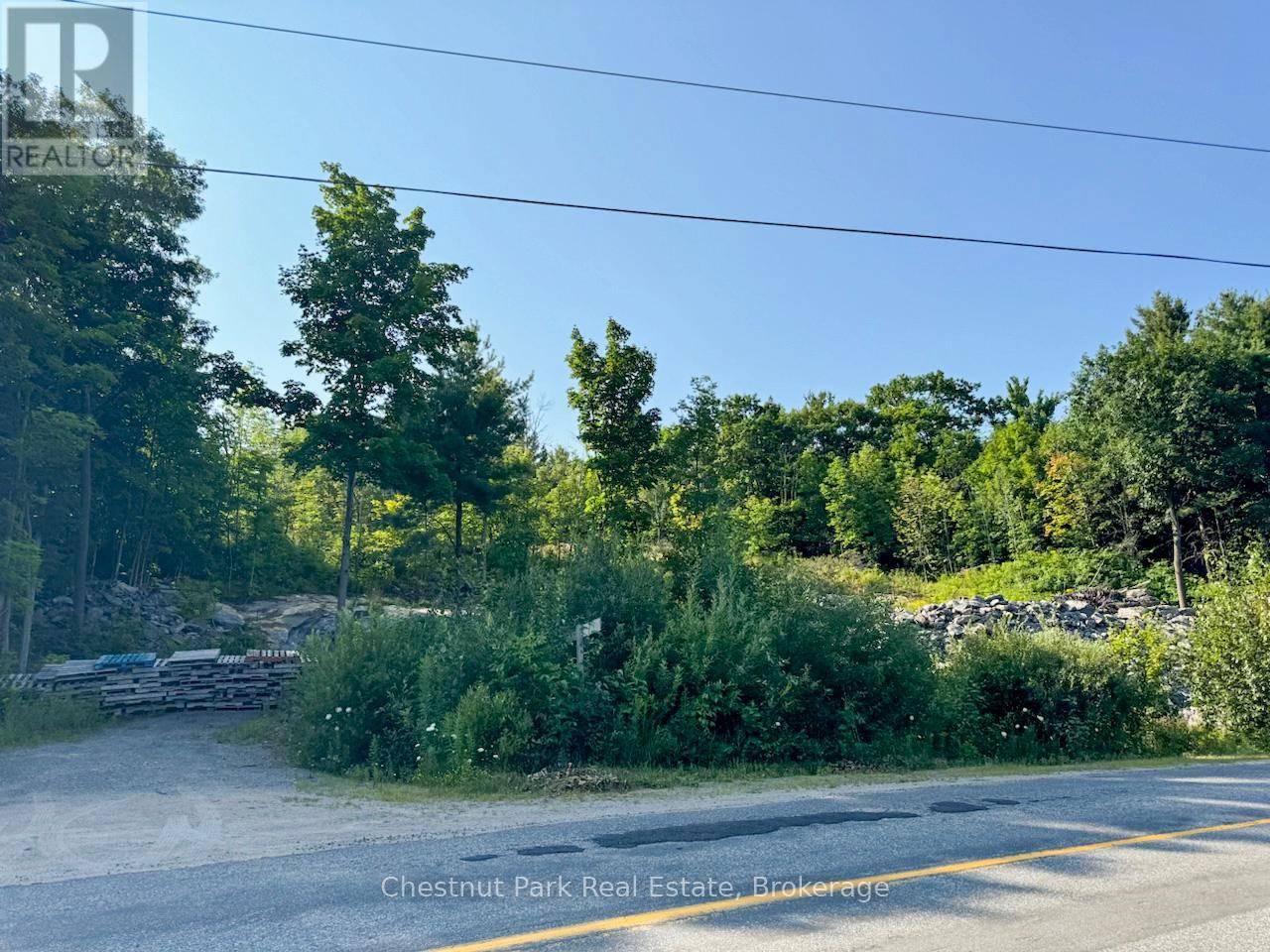 Bracebridge (muskoka (n)), ON P1P1R1,1681 MUSKOKA BEACH ROAD