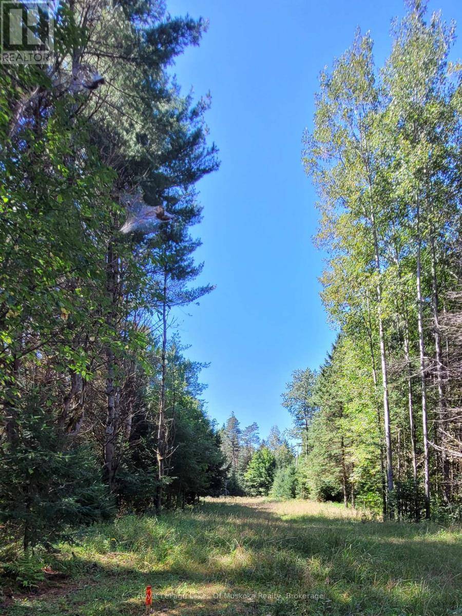 Algonquin Highlands, ON K0M1J0,1059 ABLETT COURT