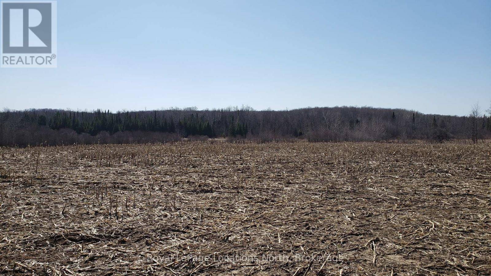 Southgate, ON N0C1B0,26565 89