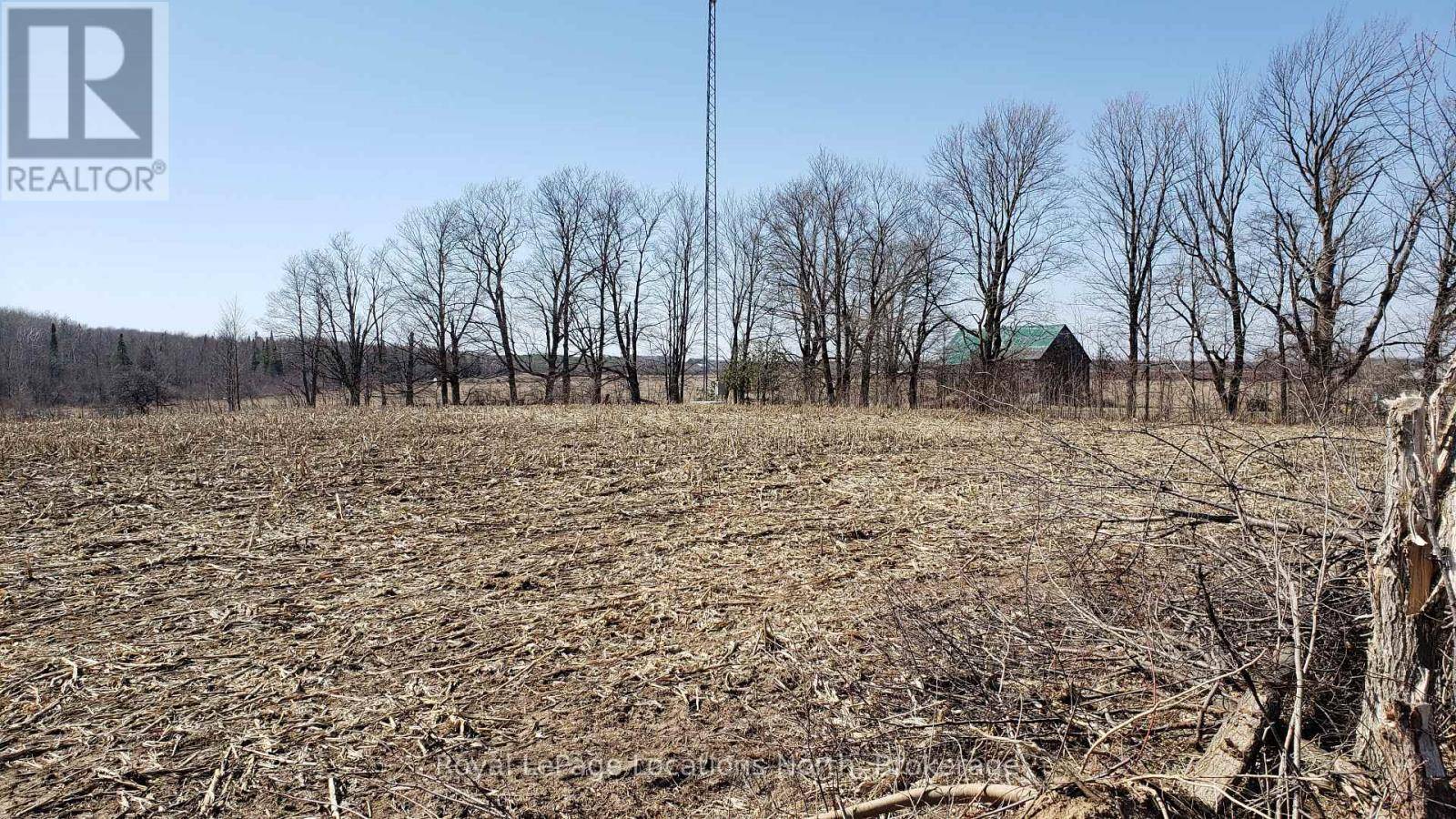 Southgate, ON N0C1B0,26565 89