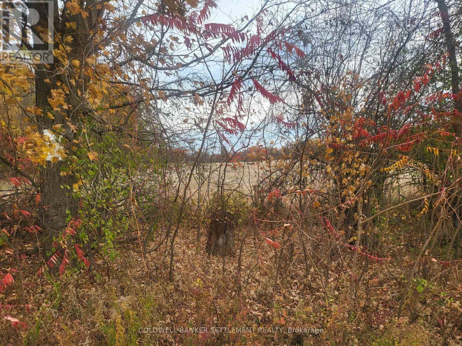 Rideau Lakes, ON K0G1V0,LOT 1 BUSH ROAD