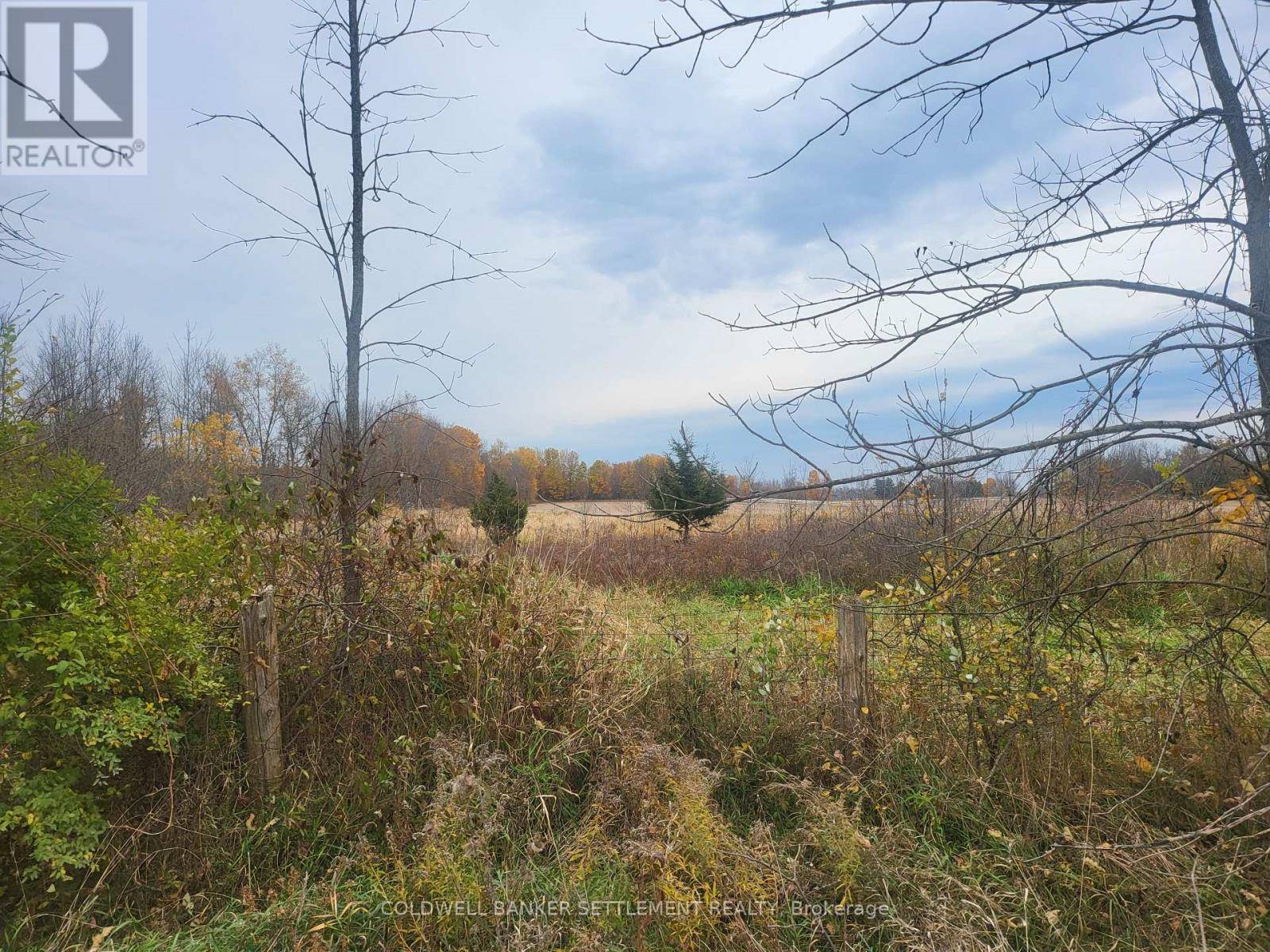 Rideau Lakes, ON K0G1E0,LOT 5 BUSH ROAD