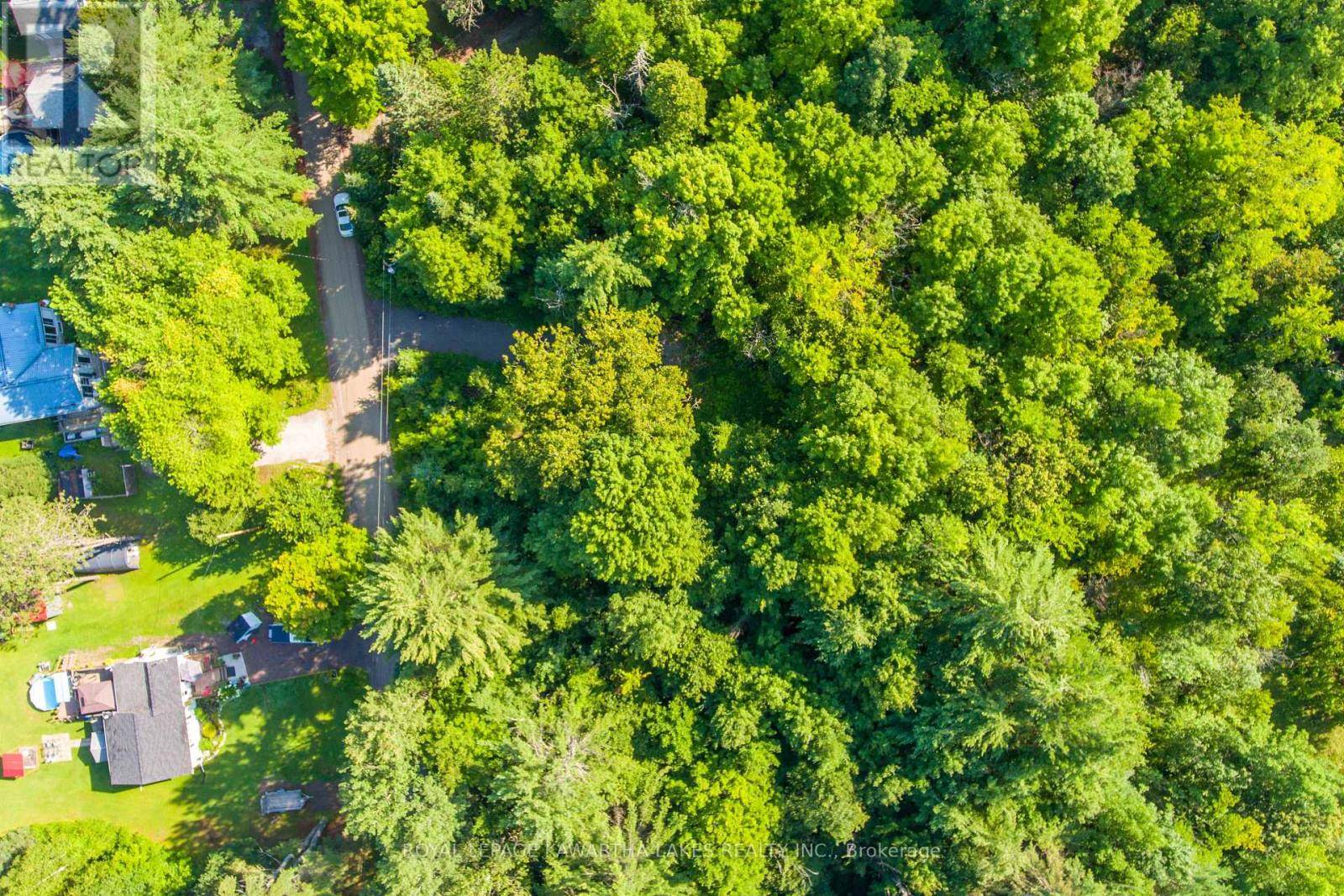 Kawartha Lakes (laxton/digby/longford), ON K0M1K0,LT 33 BENSON BOULEVARD