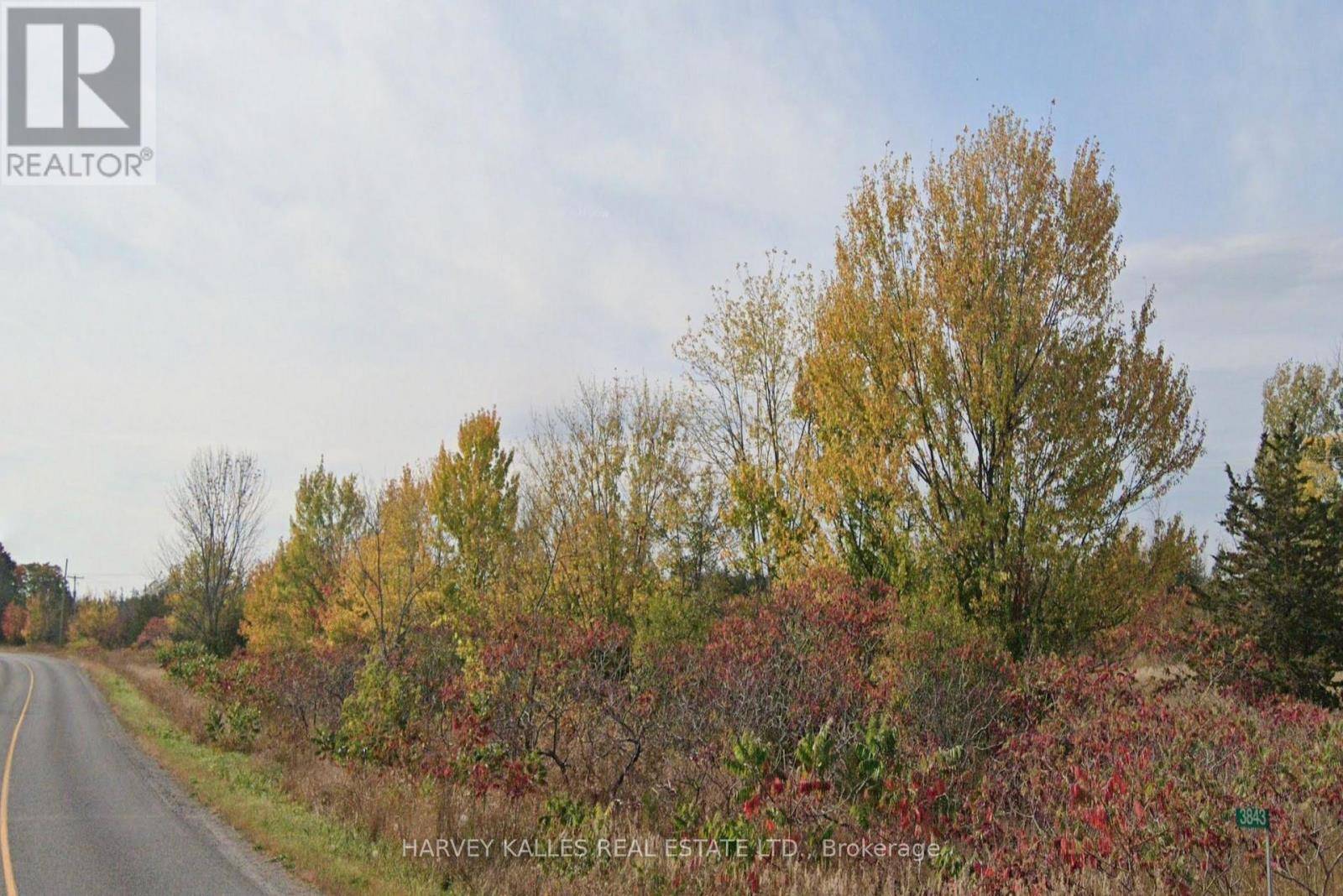Prince Edward County (north Marysburgh), ON K0K2T0,3843 COUNTY ROAD 8 ROAD