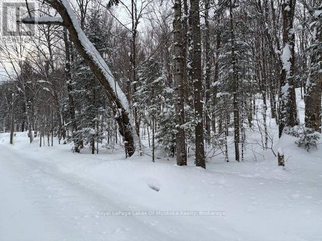 Huntsville (stisted), ON P0B1M0,LOT 2 OLD ASPDIN ROAD