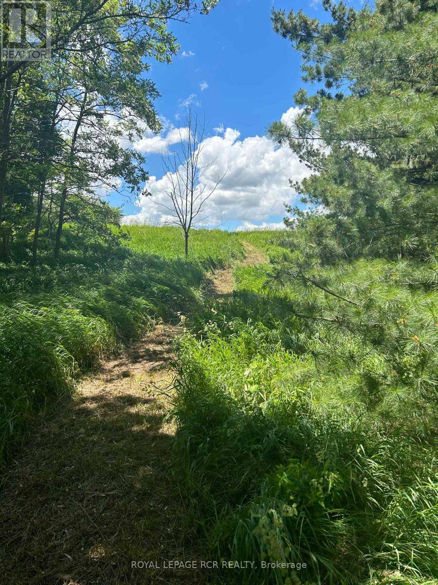 Mulmur, ON L9V0J8,LOT 29 5TH LINE E