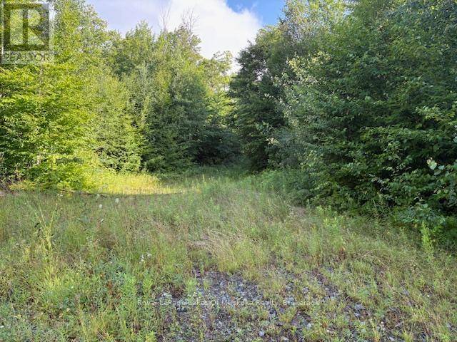 Huntsville (stephenson), ON P0B1M0,59 SUMMER LEIGH TRAIL