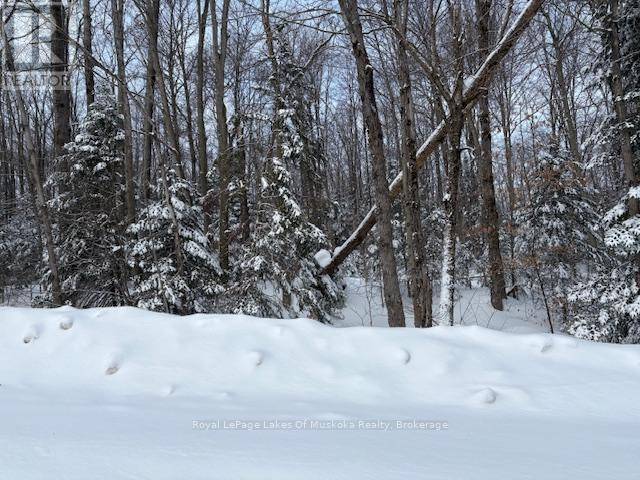 Huntsville (stephenson), ON P0B1M0,1788 OLD MUSKOKA ROAD
