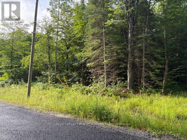 Huntsville (stephenson), ON P0B1M0,48 SUMMER LEIGH TRAIL