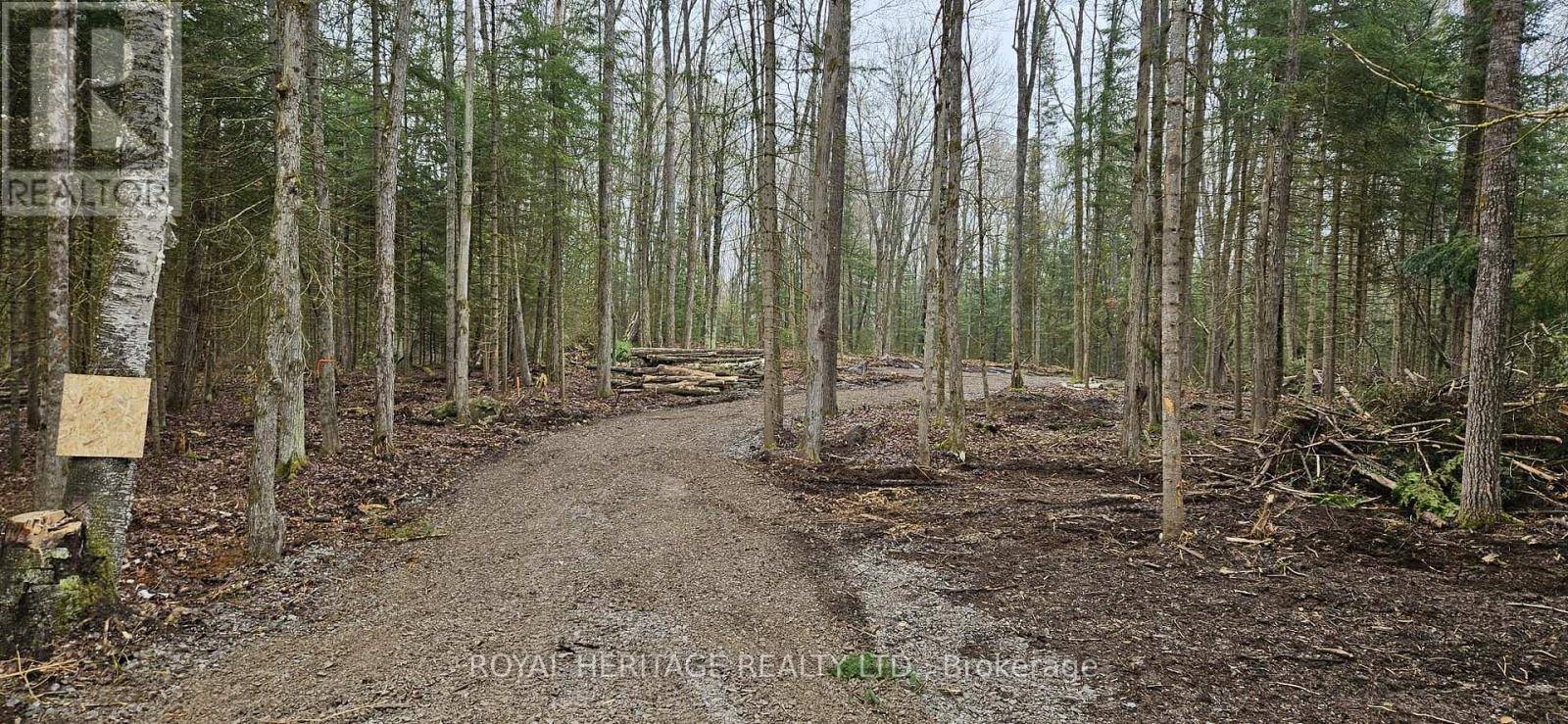 Trent Lakes, ON K0M2A0,0B REID STREET