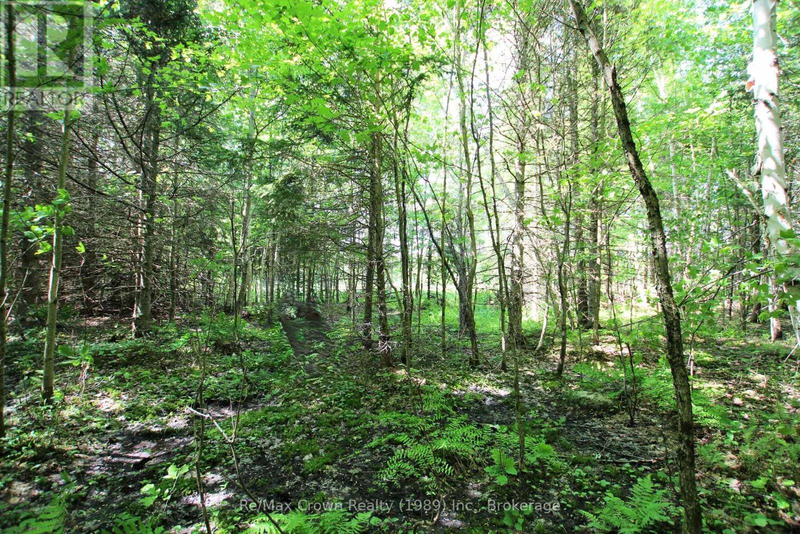 Parry Sound Remote Area (pringle), ON P0H1W0,0B 522 HWY HIGHWAY