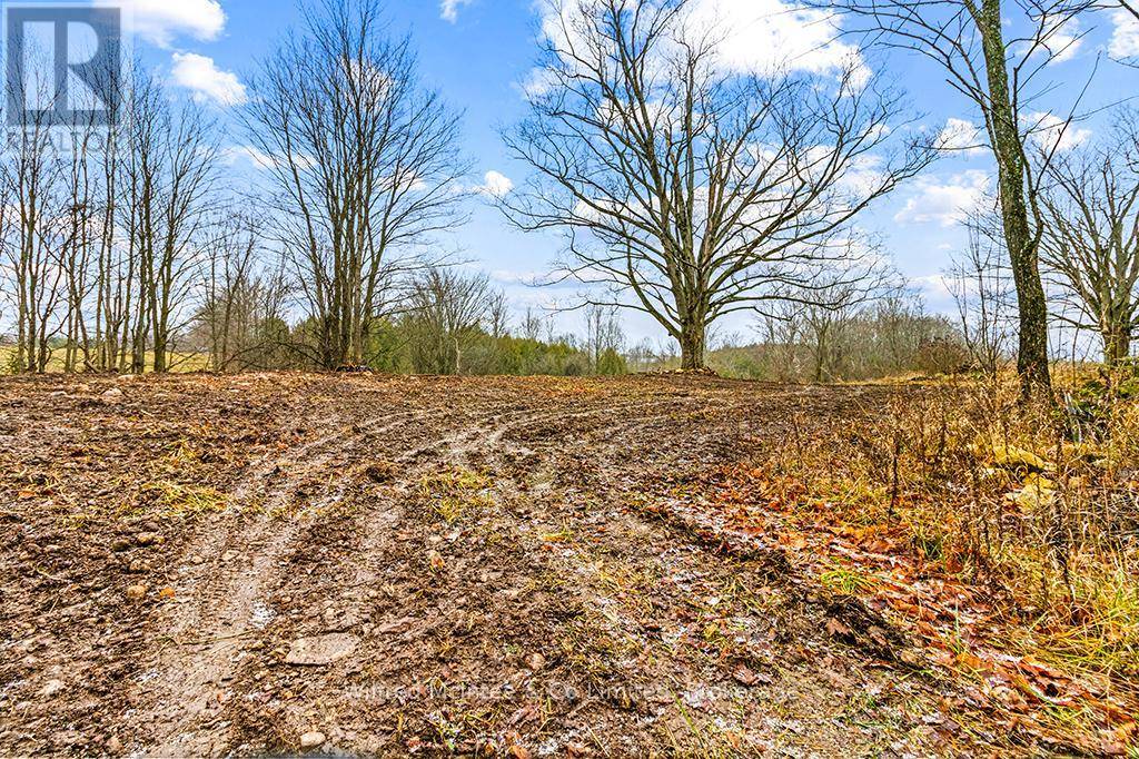 Chatsworth, ON N0H1G0,PTLT 16; PART 2 16R6350 SIDEROAD 5