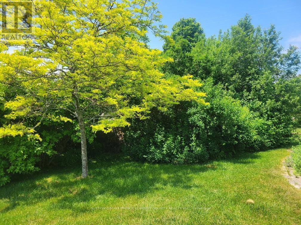 Prince Edward County (wellington Ward), ON K0K3L0,4 CARLA COURT