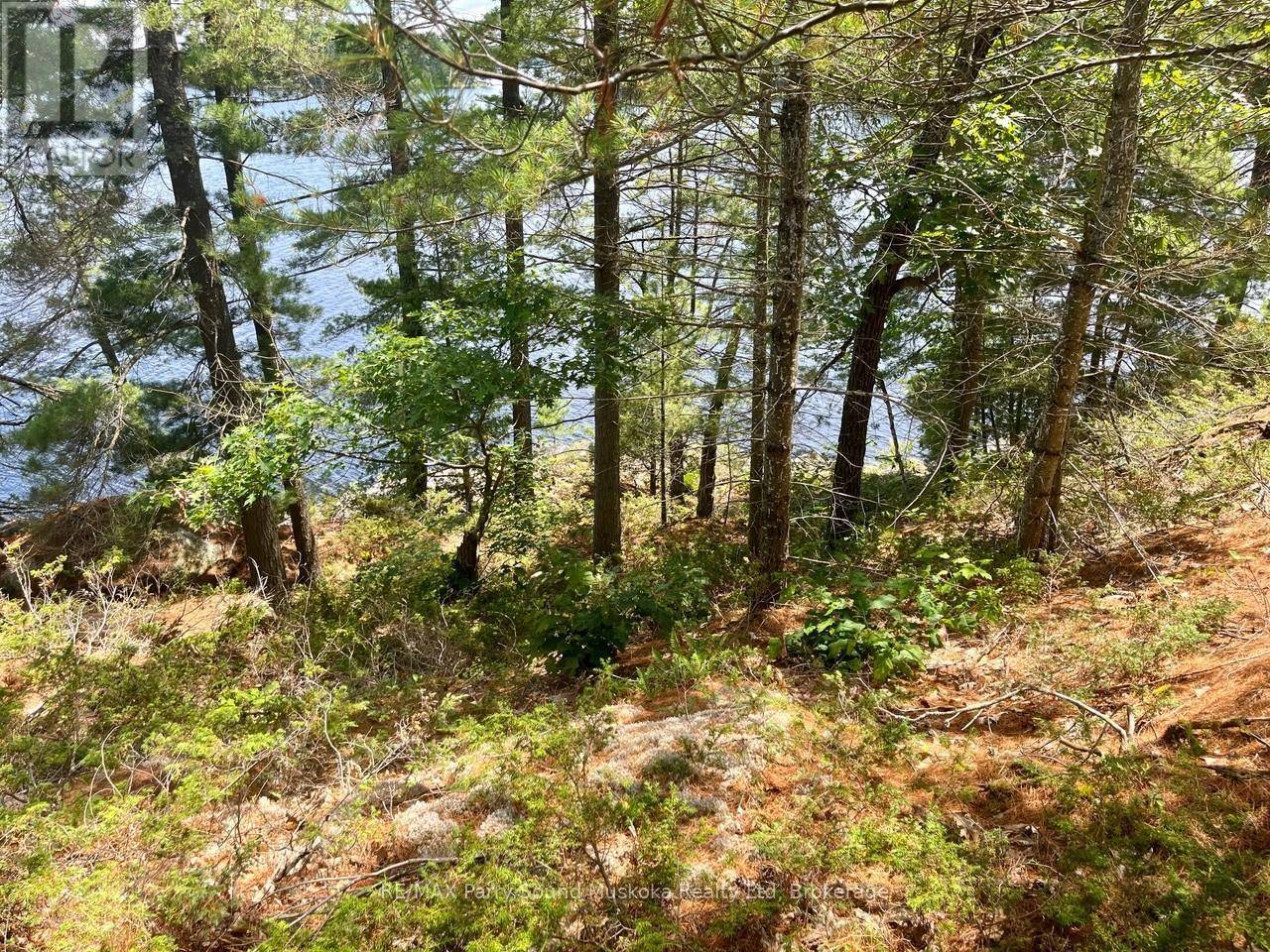Whitestone, ON P2A2E7,3 SANDY HOOK