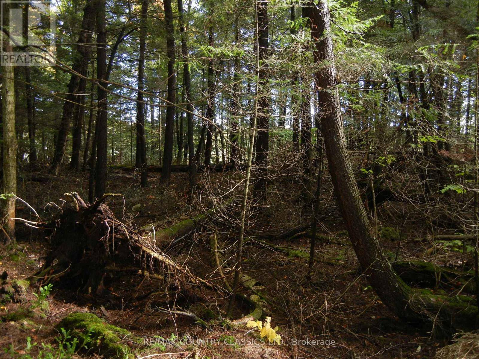 North Kawartha, ON K0L1A0,0 KNOX POINT ROAD
