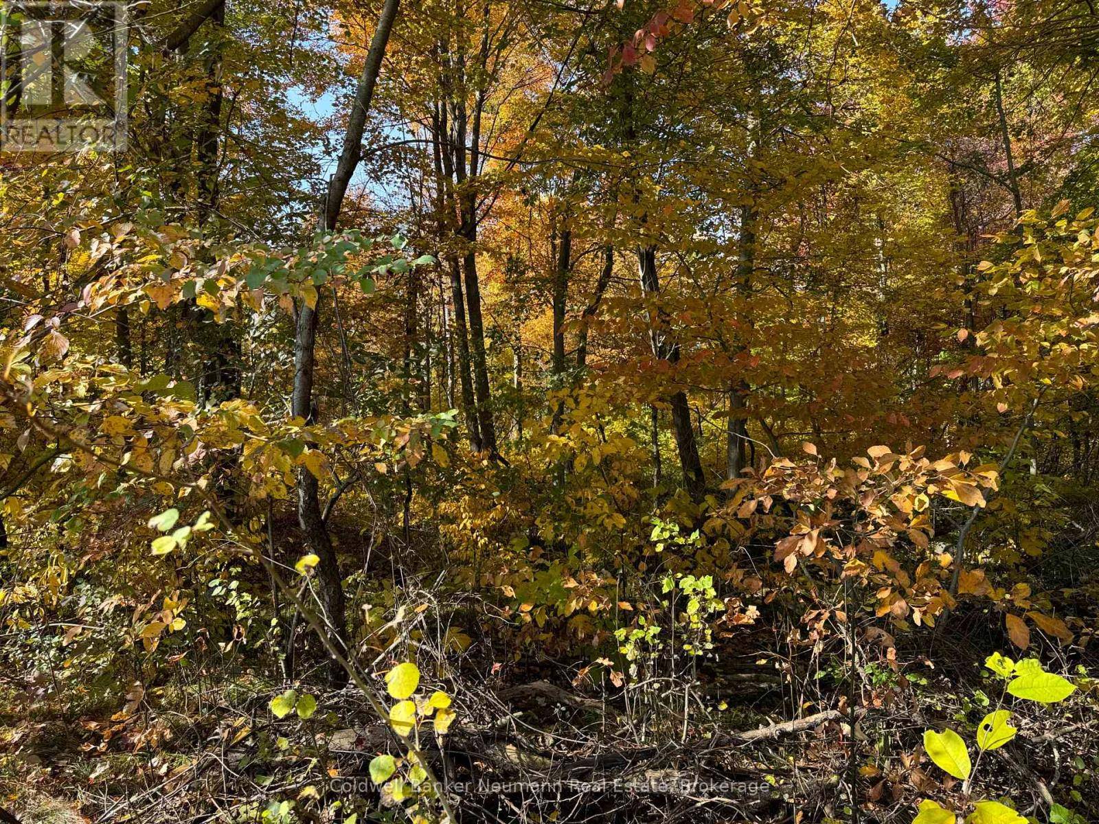 Chatham-kent (thamesville), ON N0P2K0,29284 JANE ROAD