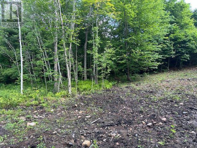 Seguin, ON P2A0B2,4 MCNAUGHTS ROAD