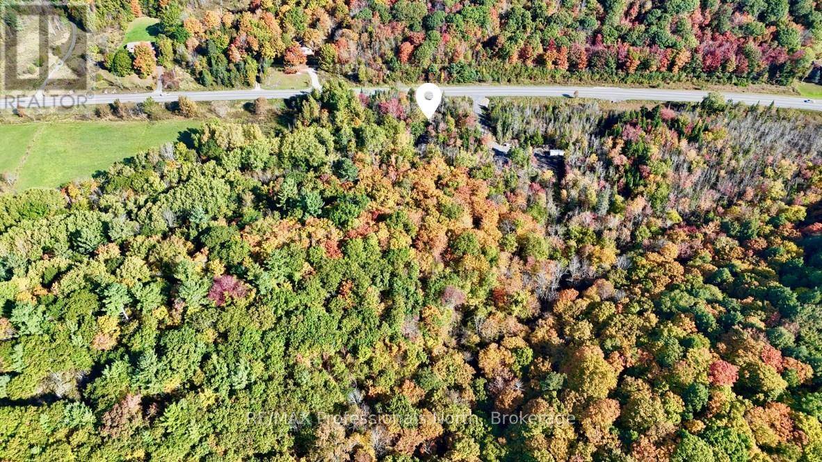 Bracebridge (muskoka (n)), ON P1L0A1,1362 HIGHWAY 118 W