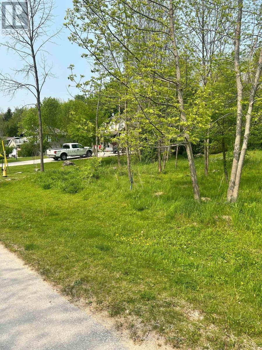 Georgian Bluffs, ON N0H1S0,PT LT 37 CON 3 MACINTOSH DRIVE