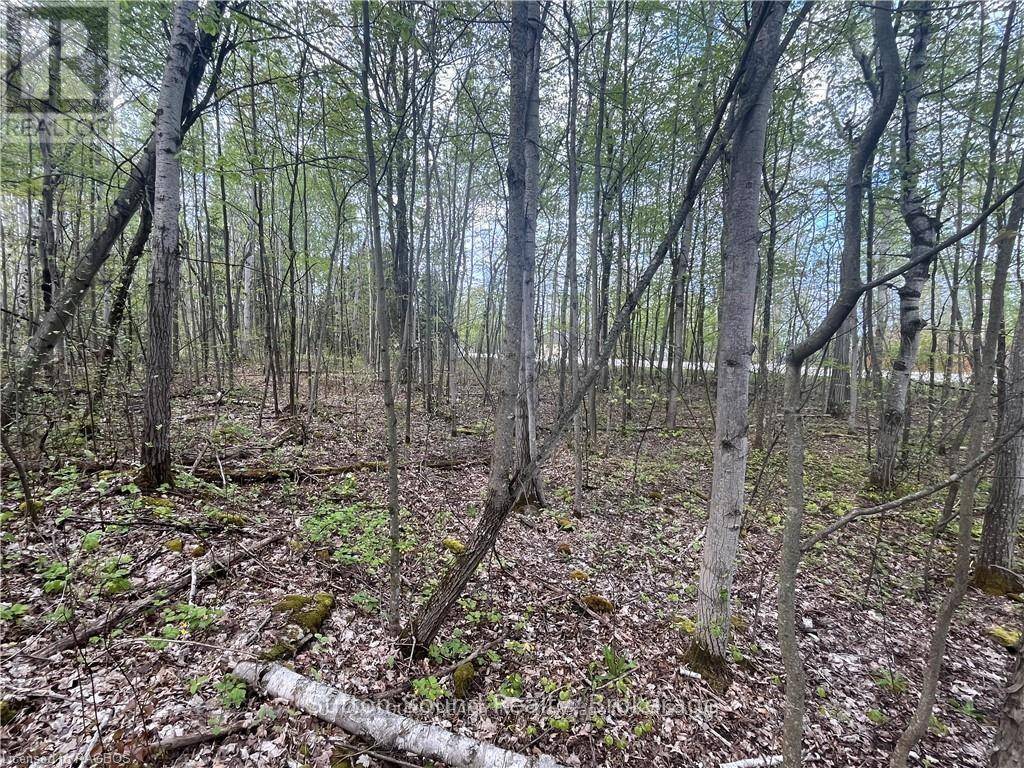 Georgian Bluffs, ON N0H2T0,LOT 5 GREY  ROAD 1