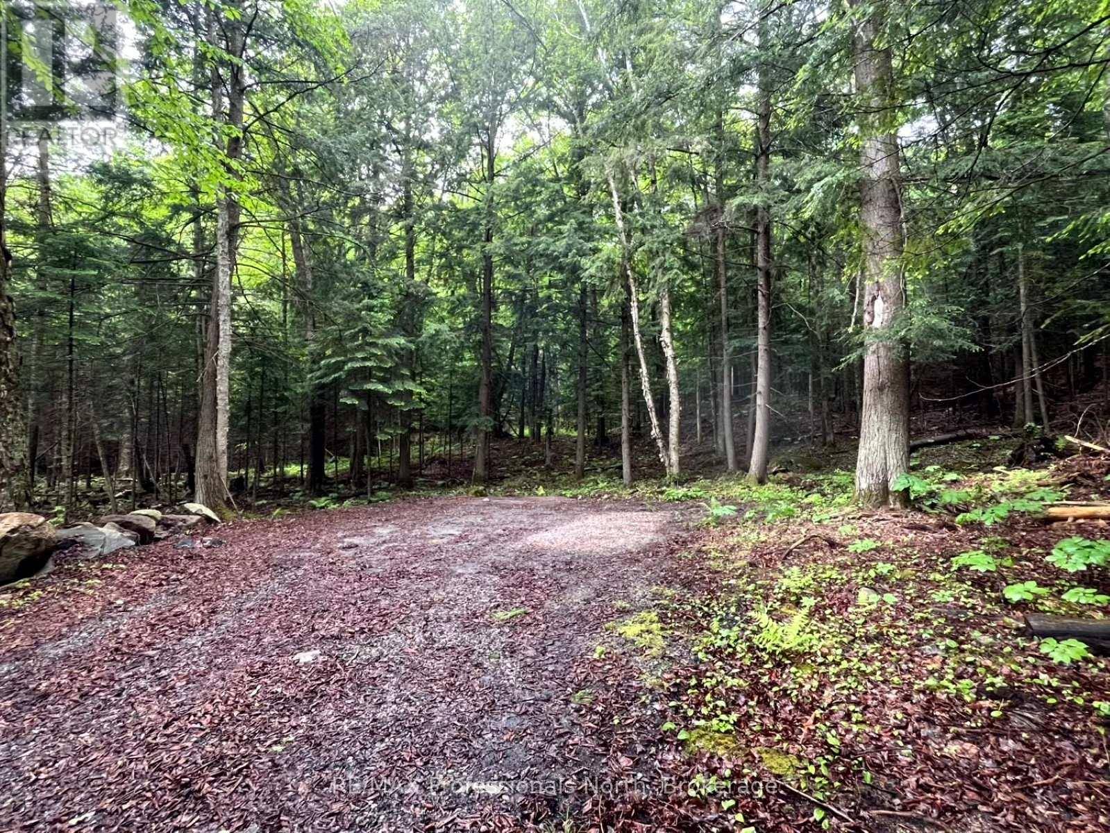 Minden Hills (minden), ON K0M2K0,TBD COUNTY 21 ROAD