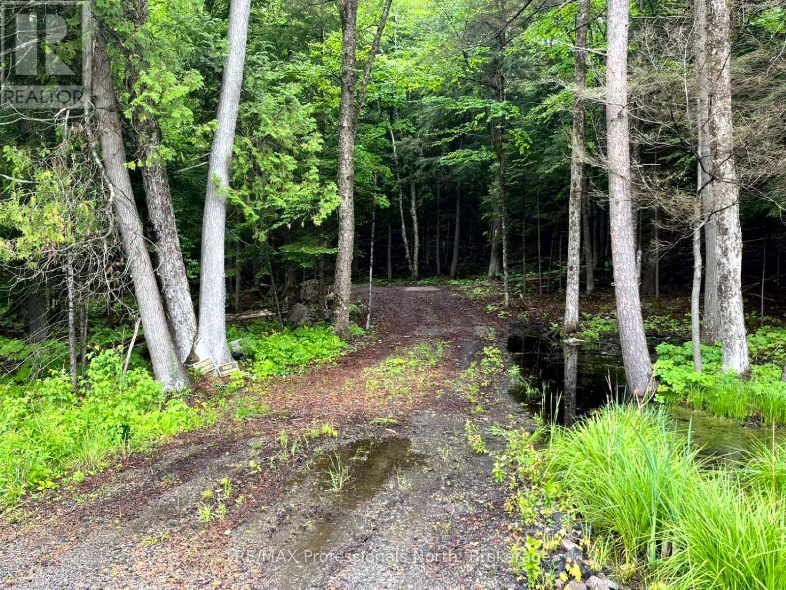 Minden Hills (minden), ON K0M2K0,TBD COUNTY 21 ROAD