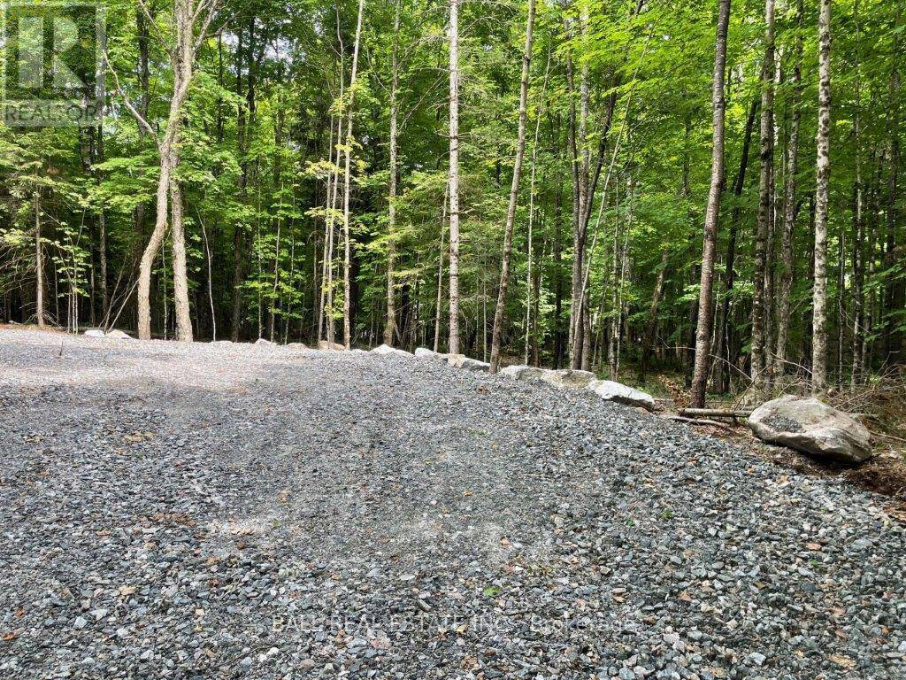 Dysart Et Al (dysart), ON K0M1S0,1350 HALIBURTON LAKE RD