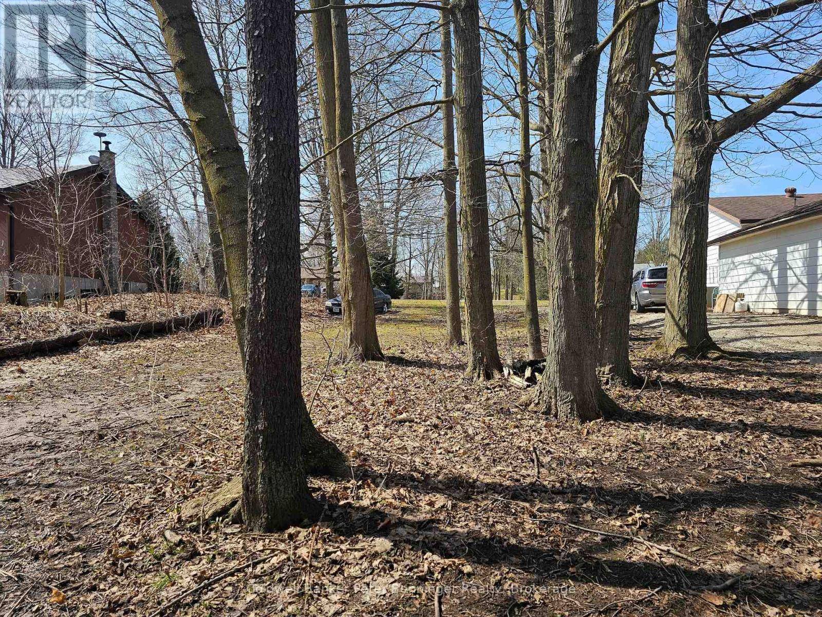 Arran-elderslie, ON N0G2N0,PT 2 GEORGE STREET S