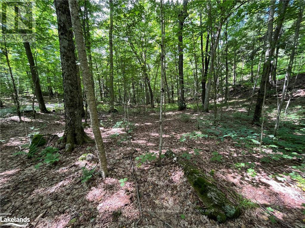 Huntsville (stisted), ON P1H2J2,LOT 134 BRENNAN CIRCLE