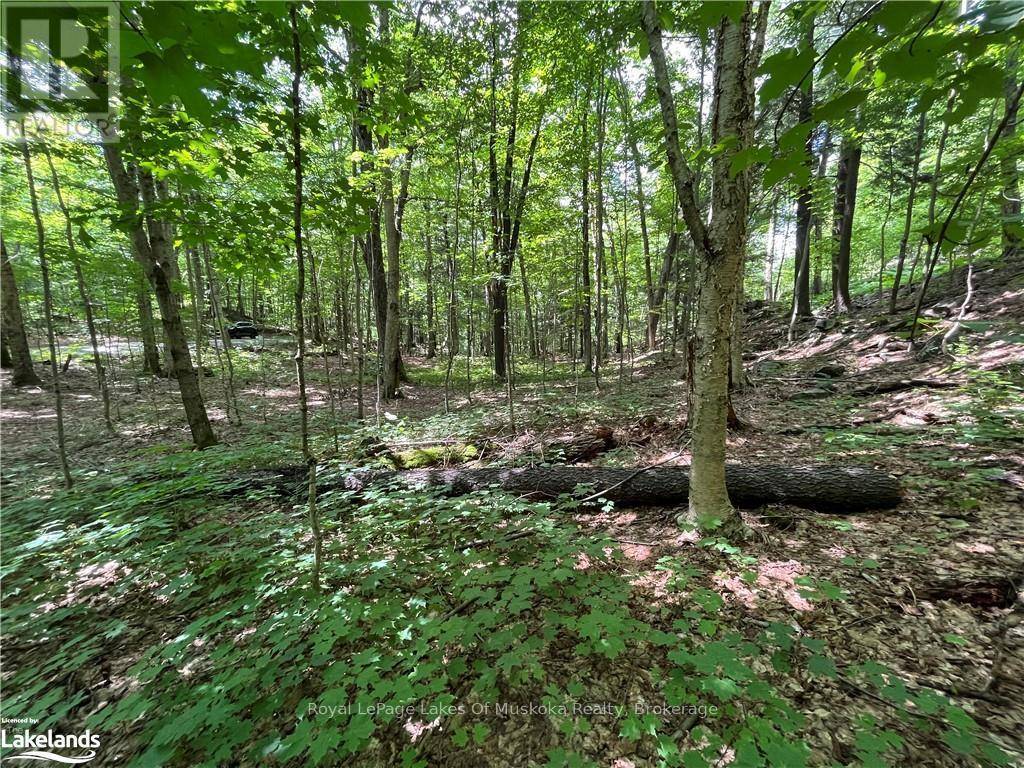 Huntsville (stisted), ON P1H2J2,LOT 134 BRENNAN CIRCLE