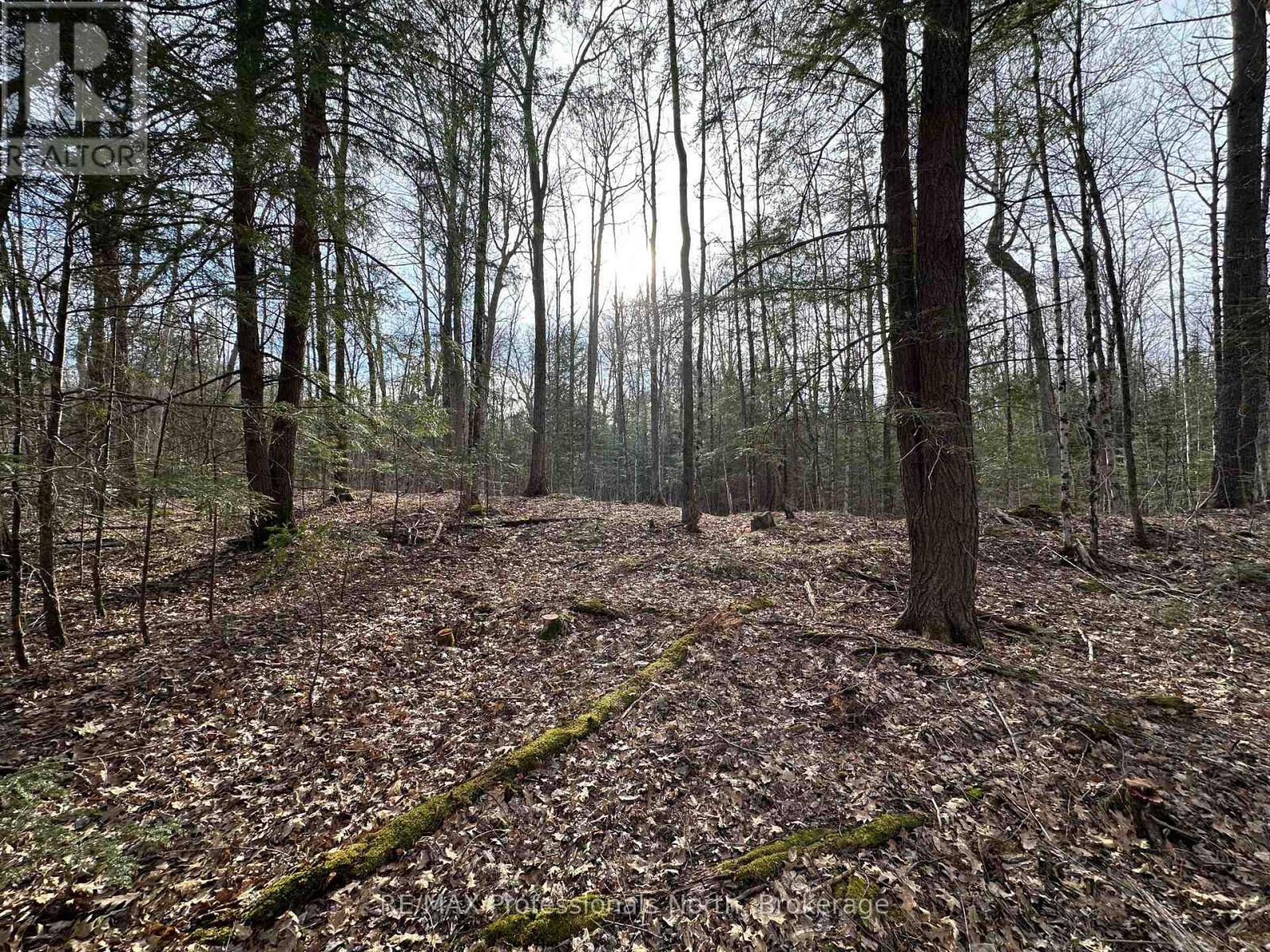 Gravenhurst (wood (gravenhurst)), ON P0E1G0,2731 SOUTHWOOD ROAD