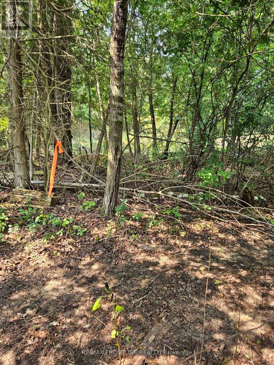 Tay Valley, ON K7H3C9,WEST LOT 0 BATHURST 7TH CONCESSION