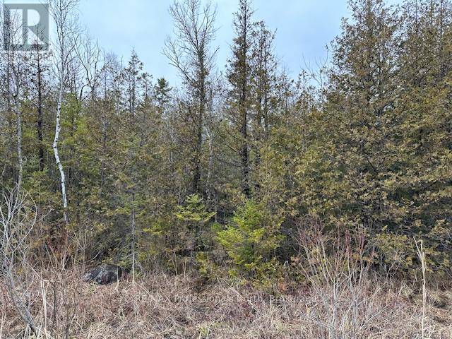 Kawartha Lakes (laxton/digby/longford), ON K0M2B0,0 LAXTON BOUNDARY LINE