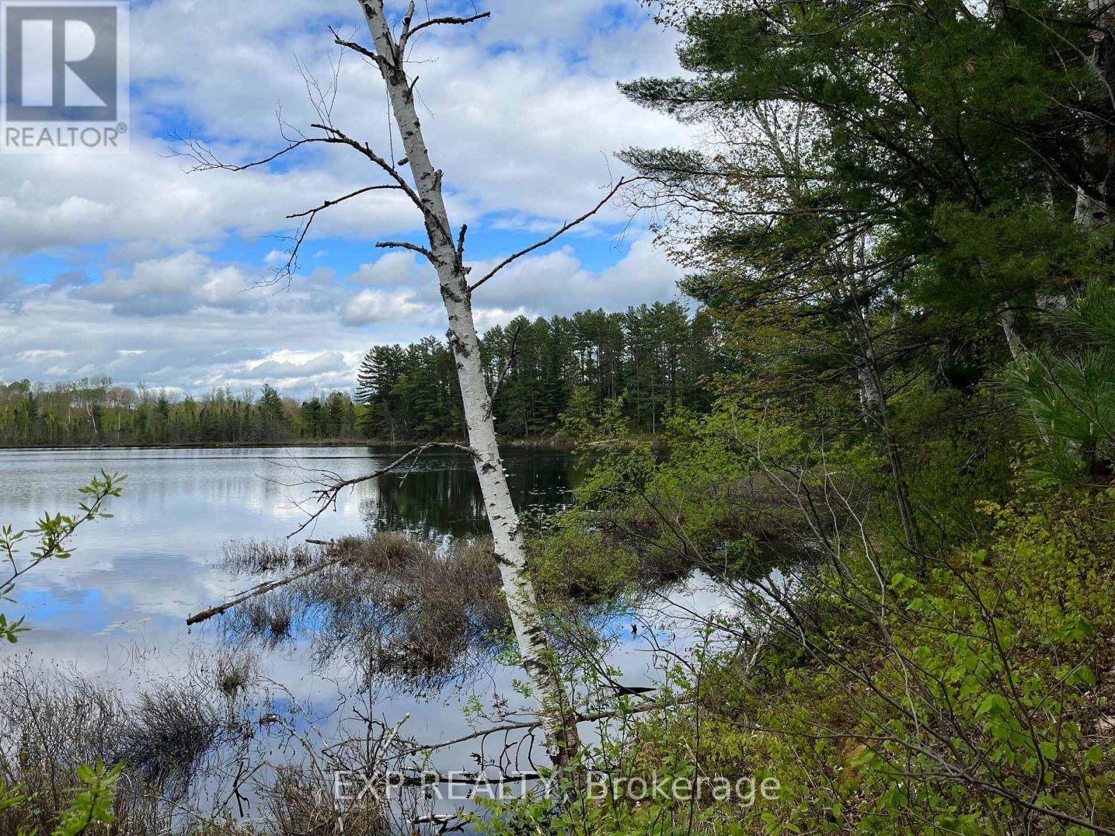 Madawaska Valley, ON K0J1B0,LOT 8 CASSON TRAIL