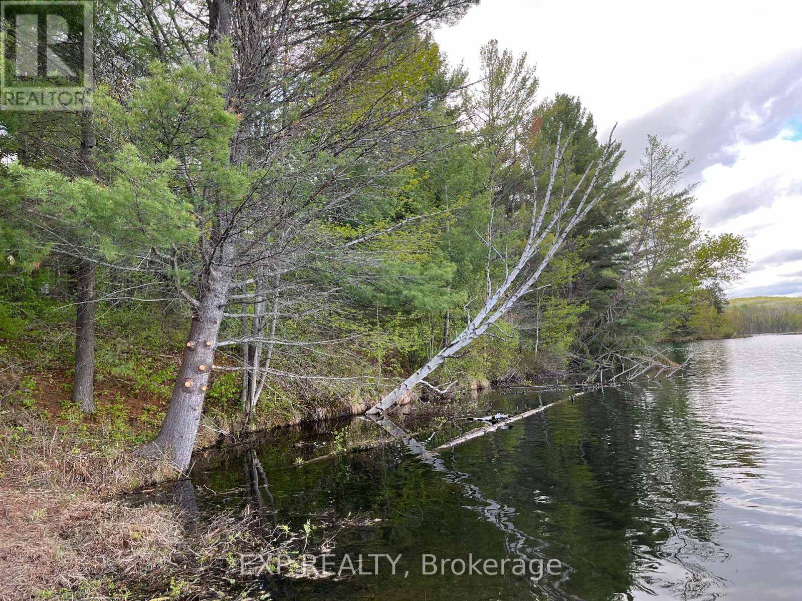 Madawaska Valley, ON K0J1B0,LOT 13 SANDY SHORES TRAIL