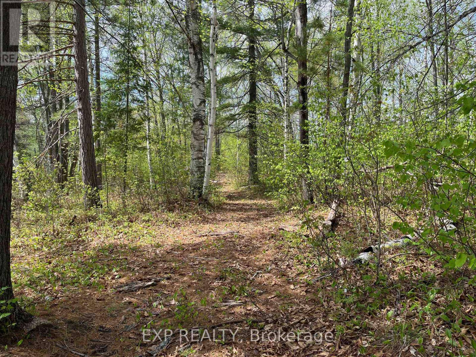 Madawaska Valley, ON K0J1B0,LOT 40 SANDY SHORES TRAIL