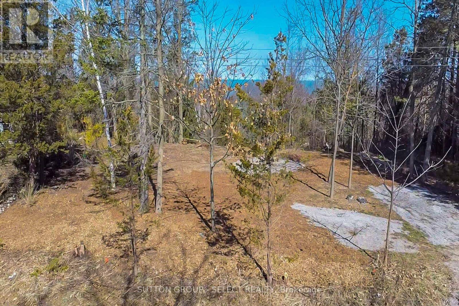 Lambton Shores (forest), ON N0N1J7,5 HURON VIEW AVENUE