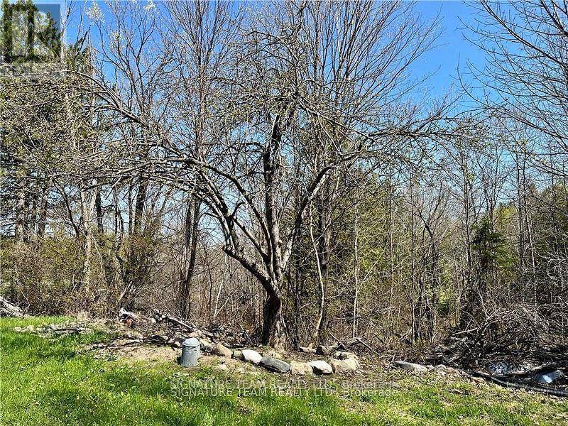 Bonnechere Valley, ON K0J1W0,15 SEBASTOPOL DRIVE