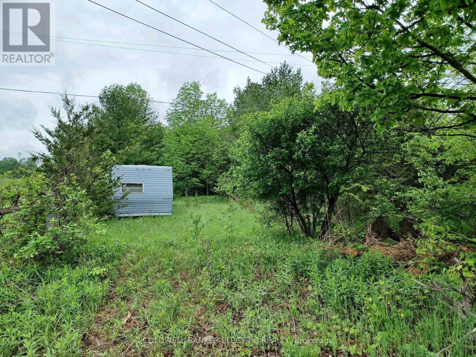Douro-dummer, ON K0L2H0,000 COUNTY RD 6